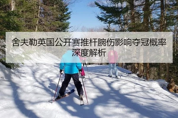 she-fu-lei-ying-guo-gong-kai-sai-tui-gan-wan-shang-ying-xiang-duo-guan-gai-lv-shen-du-jie-xi-2-427.jpg