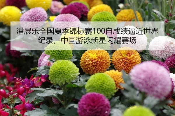 pan-zhan-le-quan-guo-xia-ji-jin-biao-sai-zi-cheng-ji-bi-jin-shi-jie-ji-lu-zhong-guo-you-yong-xin-xing-shan-yao-sai-chang-1-256.jpg